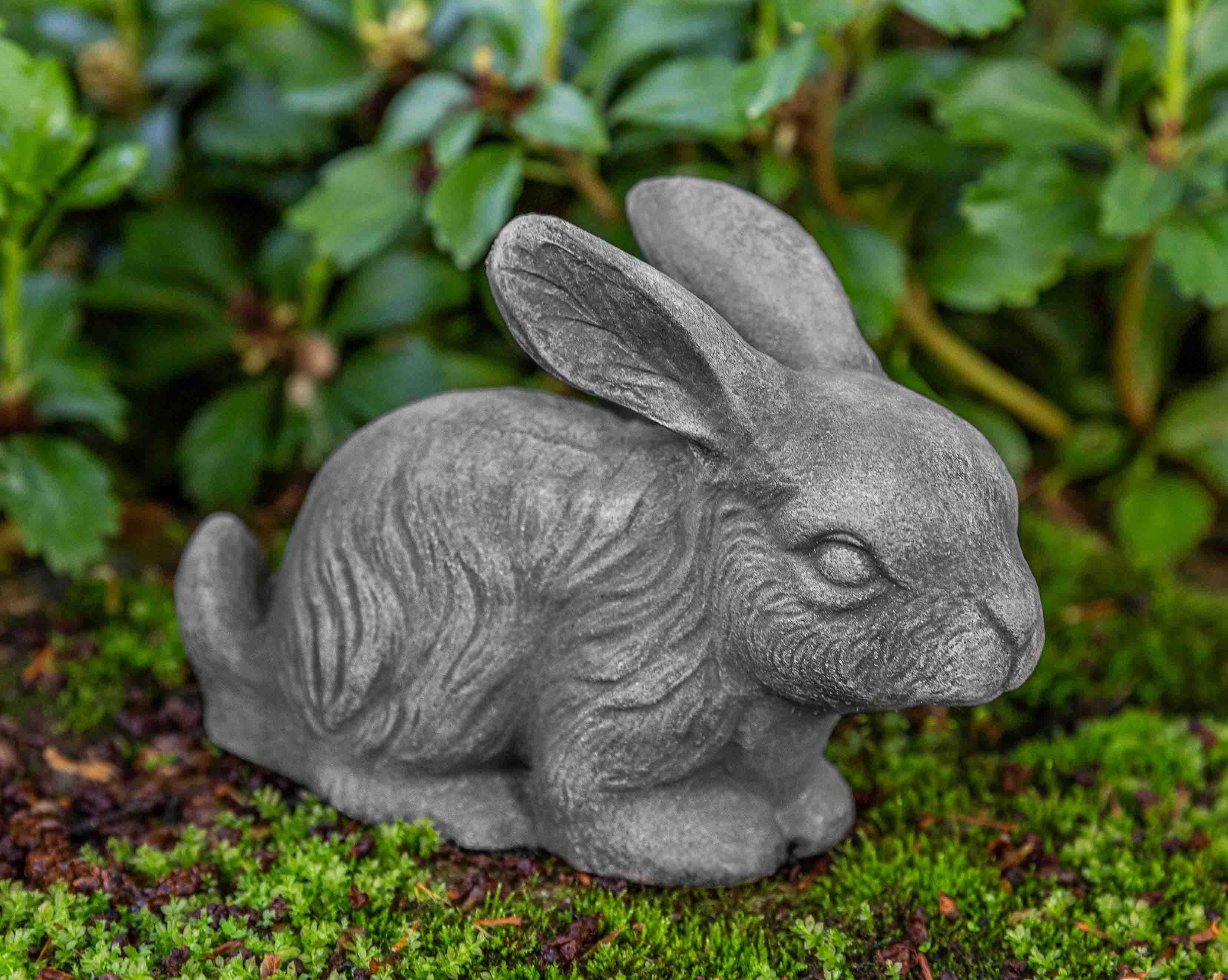 Photo of Campania Bunny - Marquis Gardens