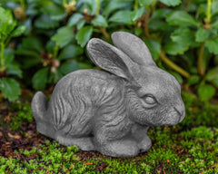 Photo of Campania Bunny - Marquis Gardens