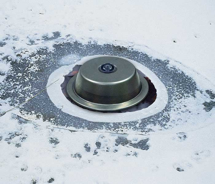 Photo of Aquascape 300-Watt Pond De-Icer - Marquis Gardens