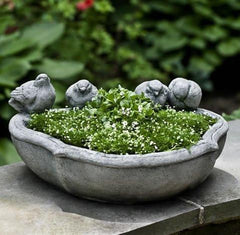 Photo of Campania Alouette Planter - Marquis Gardens
