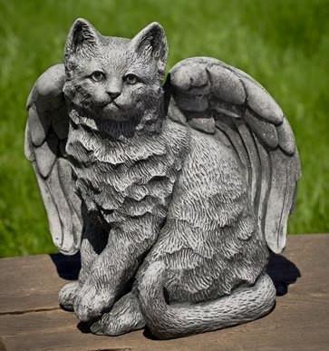 Photo of Campania Angel Kitty - Marquis Gardens