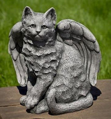 Photo of Campania Angel Kitty - Marquis Gardens