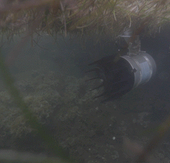 AquatiClear by Kasco water circulator