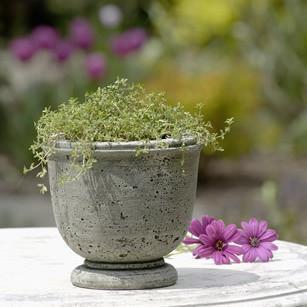 Photo of Campania Arles Planter - Marquis Gardens