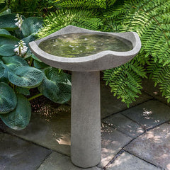Photo of Campania Oslo Birdbath Large - Marquis Gardens