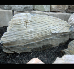 Photo of Bubble Rock 44 Metamorphic (Large)  - Marquis Gardens