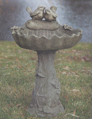 Photo of Birdbath with Two Birds - Marquis Gardens