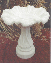 Photo of Birdbath - Swirl Base - Shallow Tulip Top - Marquis Gardens