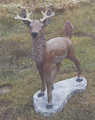 Photo of Buck MC - Marquis Gardens