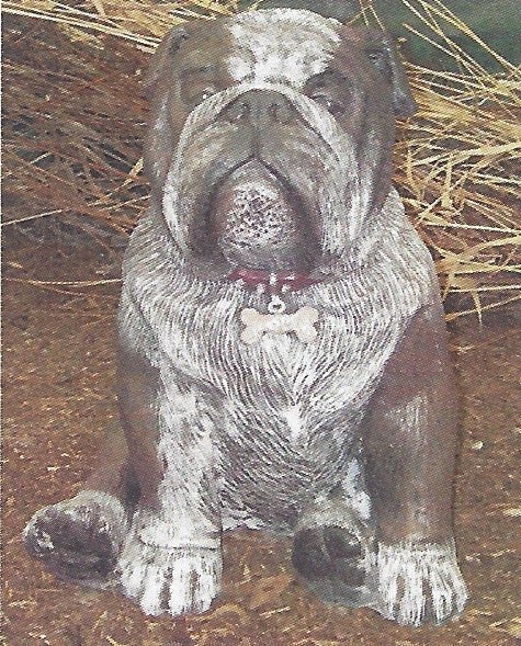 Photo of Bull Dog - Marquis Gardens