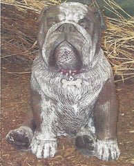 Photo of Bull Dog - Marquis Gardens