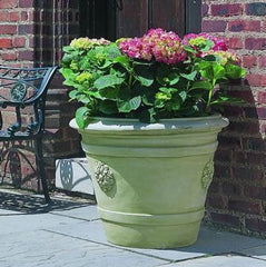 Photo of Campania Certosa Medallion Planter - Marquis Gardens