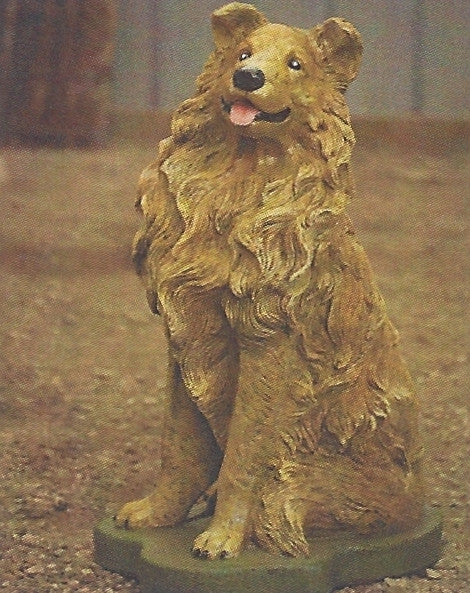 Photo of Collie Dog - Marquis Gardens