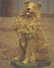 Photo of Collie Dog - Marquis Gardens