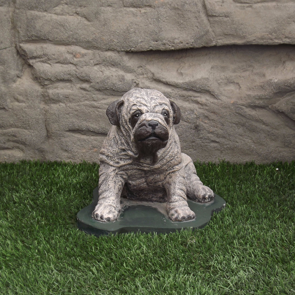 Photo of Pug Dog - Marquis Gardens