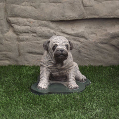 Photo of Pug Dog - Marquis Gardens