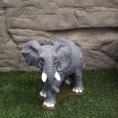 Photo of Elephant - Marquis Gardens