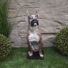 Photo of Boxer Dog - Marquis Gardens
