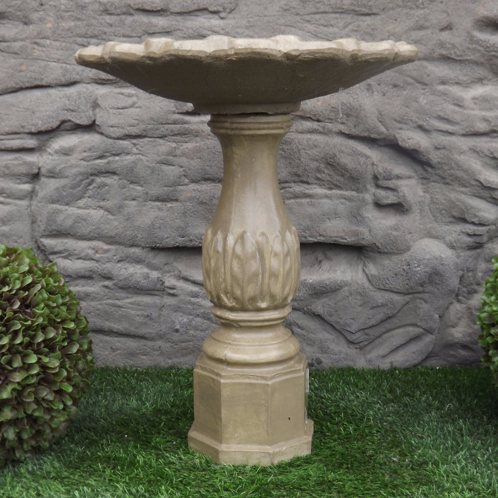 Photo of Birdbath - Leaf Base - Shallow Tulip Top - Marquis Gardens