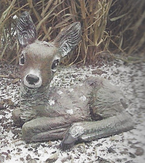 Photo of Deer - Laying Fawn - Marquis Gardens