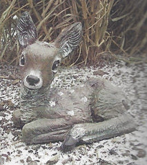 Photo of Deer - Laying Fawn - Marquis Gardens