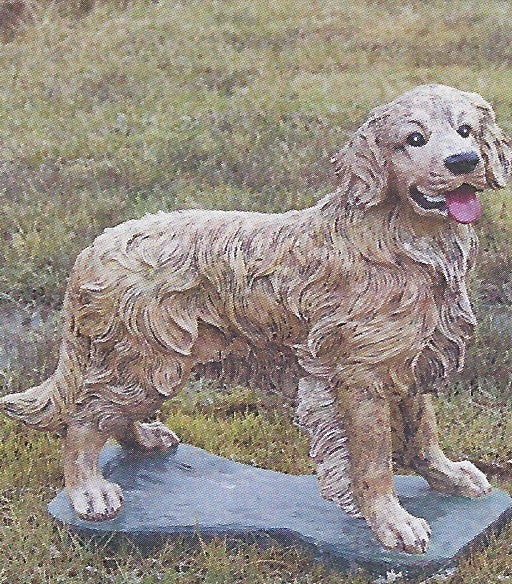 Photo of Dog Standing - Marquis Gardens