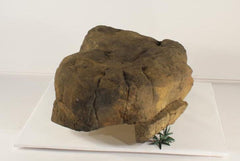 Photo of Edge Rock - ER-008 by Universal Rocks - Marquis Gardens