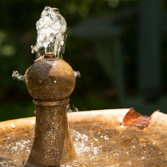 Campania Borghese in Basin Fountain