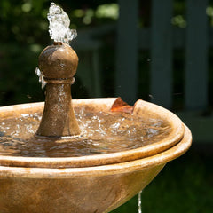 Campania Borghese in Basin Fountain