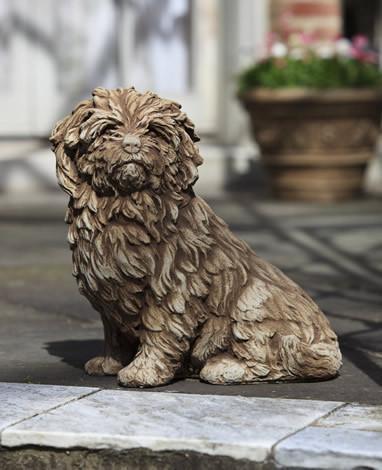 Photo of Campania Fluffy Dog - Marquis Gardens