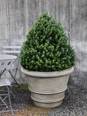 Photo of Campania Classic Rolled Rim - GFRC - Marquis Gardens