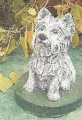 Photo of Highland Terrier - Marquis Gardens