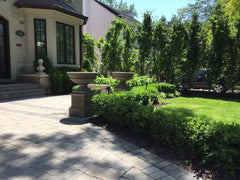 Photo of Campania Newberry Urn - Marquis Gardens