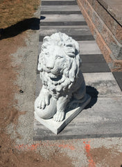 Photo of Lion Right / Left Paw on Ball - Marquis Gardens