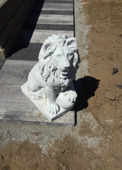 Photo of Lion Right / Left Paw on Ball - Marquis Gardens