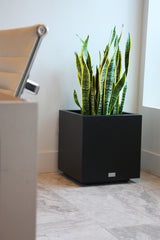 Veradek Cube Series