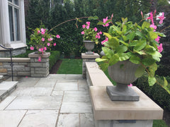 Photo of Campania Greenwich Urn - Marquis Gardens