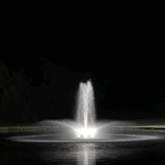 W25 LED Lighting