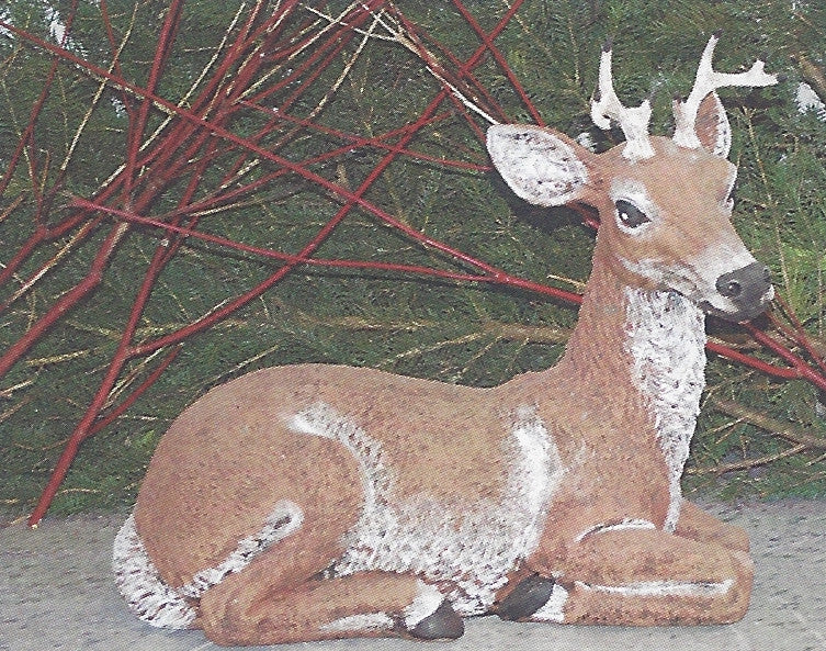 Photo of Laying Buck - Marquis Gardens
