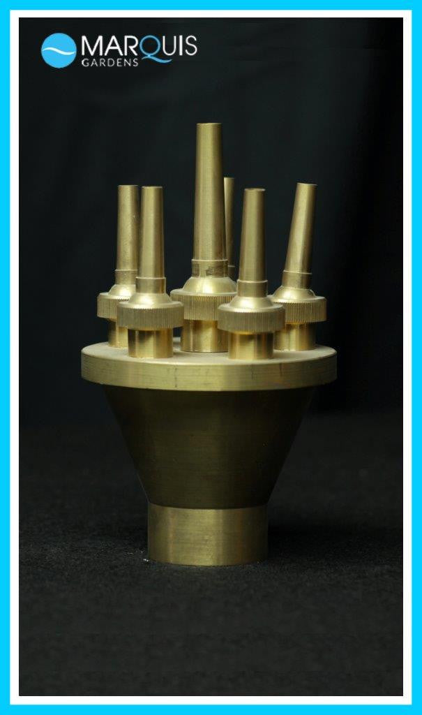 Photo of Lotus 1-1/2" - Marquis Gardens