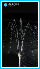 Photo of Lotus 1-1/2" - Marquis Gardens