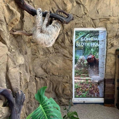Entrance of Zoo  Sloth House, With Basalt Panel Covering Exterior Wall