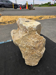 Bubble Rock 214 Beige Limestone