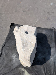 Bubble Rock 238 Beige Limestone