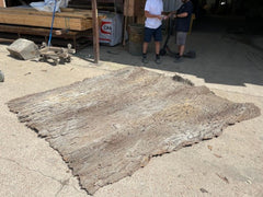 Alternate Angle of Cottonwood Panel Flat on Ground, Showcasing Depth