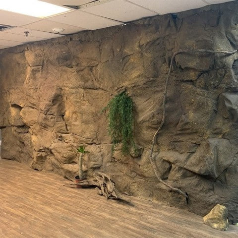 Malawi Panel Mounted to Wall above wooden panel flooring. Accent Rocks, Logs, and Leaves decorate the panel