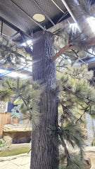 Pecan Faux Wood Wrapped around Metal Post, Mimicking a tree. Faux Branches jut from the Pecan Panel