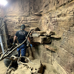 A Zoo Exhibit in Progress, The Riverfall Panel is used to cover the back facade of the enclosure