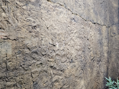 Closeup Shot of Rocky Wall Panel