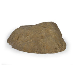Atlantic Oase Rock Lid